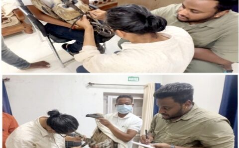 गिद्ध संरक्षण में छत्तीसगढ़ की नई उड़ान, इंद्रावती टाइगर रिजर्व बना देश का मॉडल