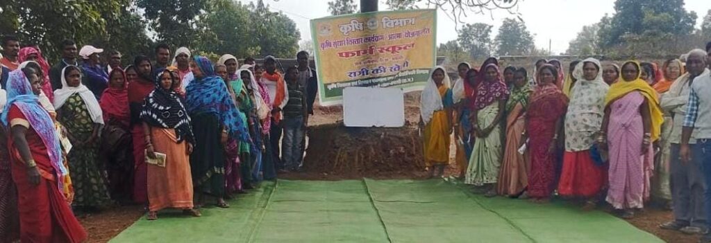 50 वर्षों बाद धमतरी के आदिवासी अंचल में रबी खेती की वापसी