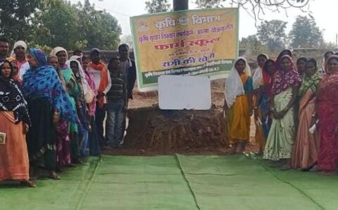 50 वर्षों बाद धमतरी के आदिवासी अंचल में रबी खेती की वापसी