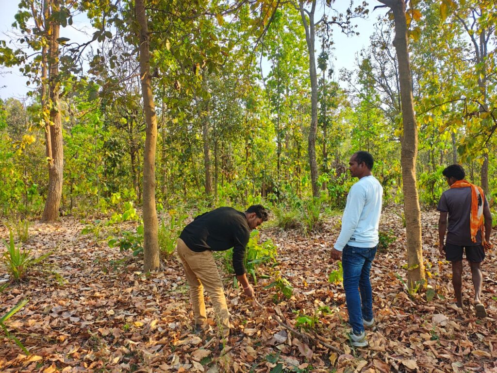 बाघ गणना का कार्य सफलतापूर्वक संपन्न