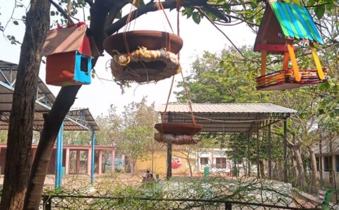 विद्यार्थियों ने पक्षियों के लिए बनाए घोंसले, संवेदनशील शिक्षा का दिया संदेश