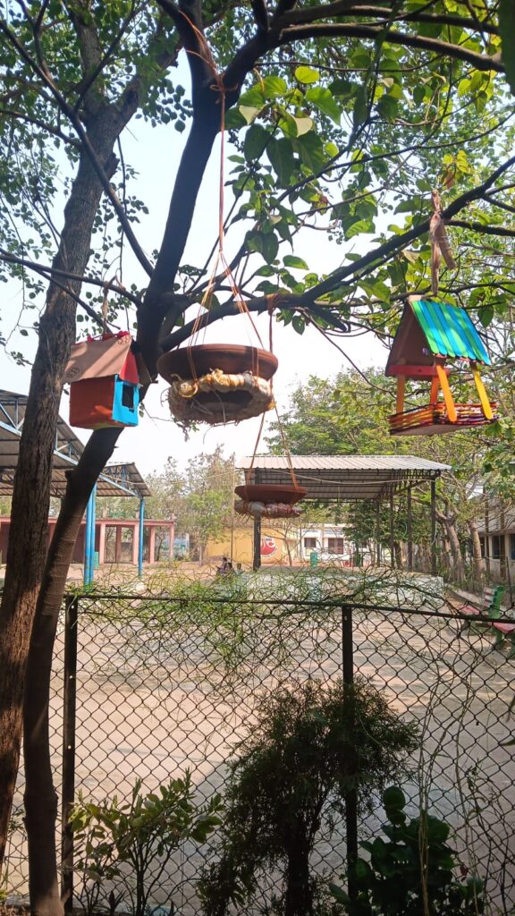 विद्यार्थियों ने पक्षियों के लिए बनाए घोंसले, संवेदनशील शिक्षा का दिया संदेश