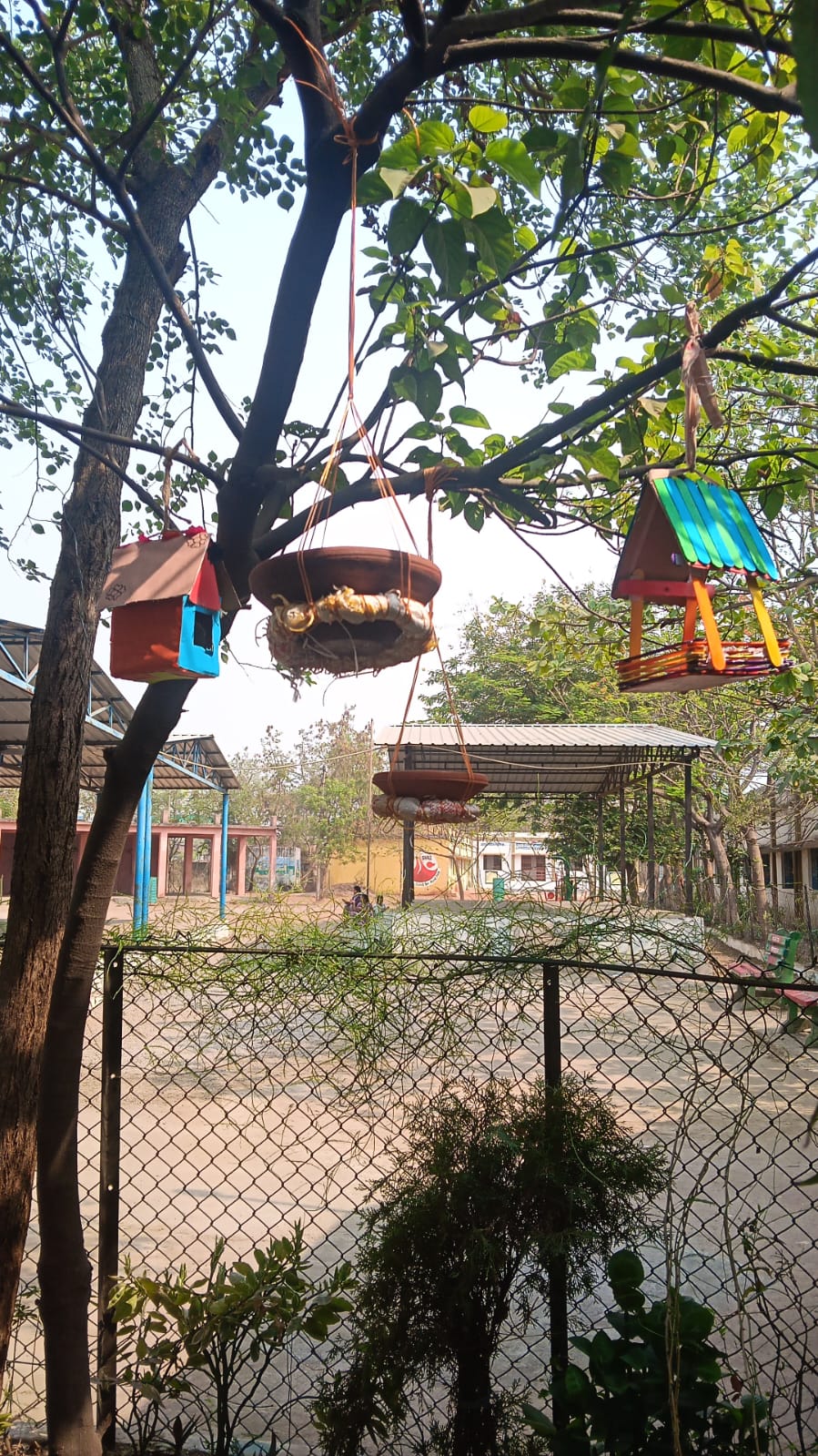 विद्यार्थियों ने पक्षियों के लिए बनाए घोंसले, संवेदनशील शिक्षा का दिया संदेश